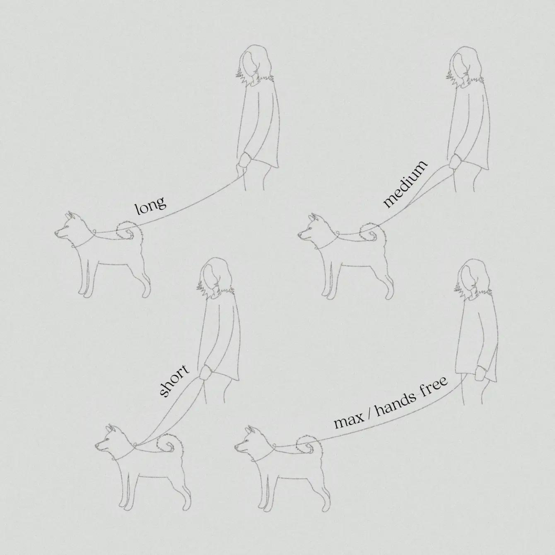 "Line drawing showing different dog leash lengths for walking: long, medium, short, and hands-free."