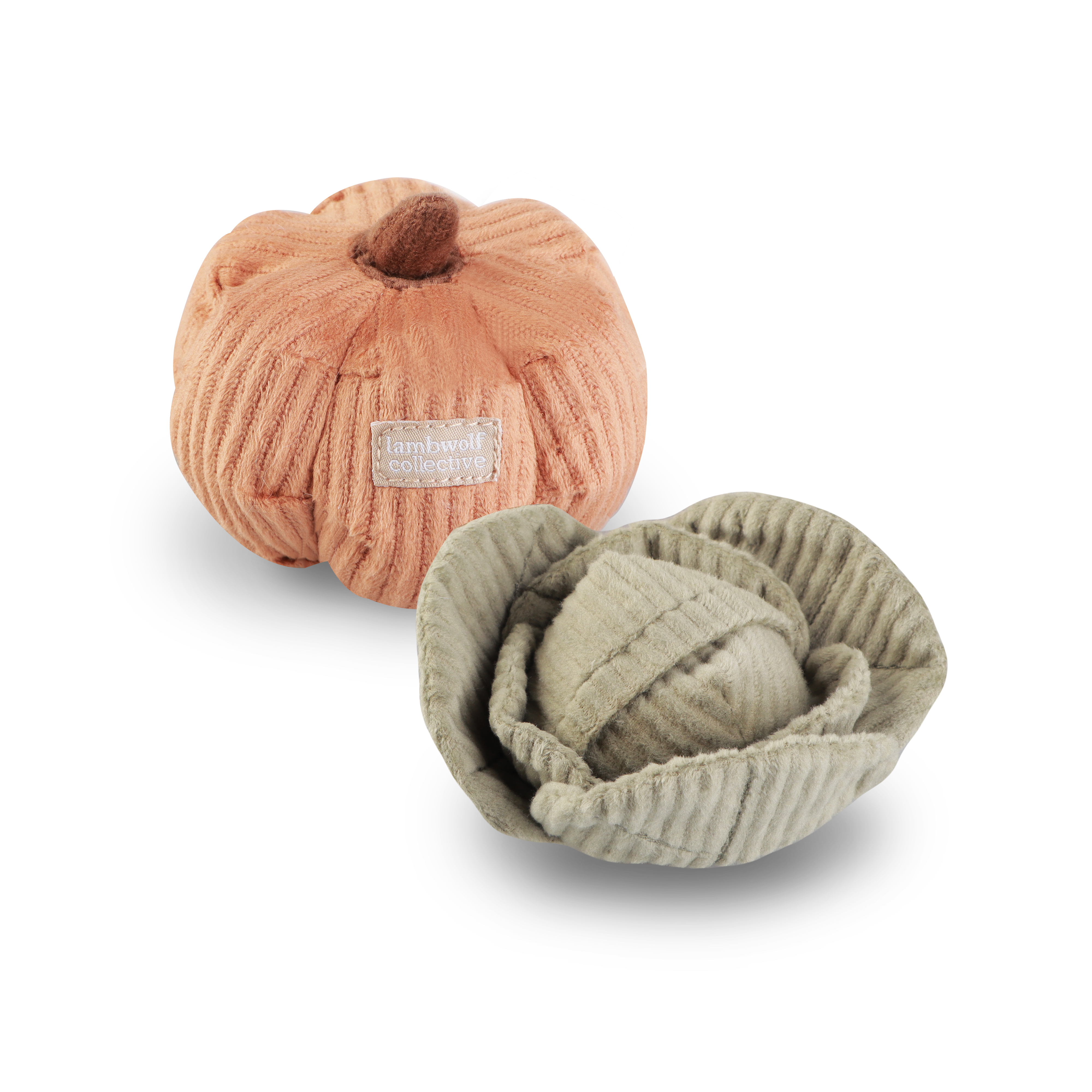 ENSEMBLE DE LÉGUMES POUR KITTY