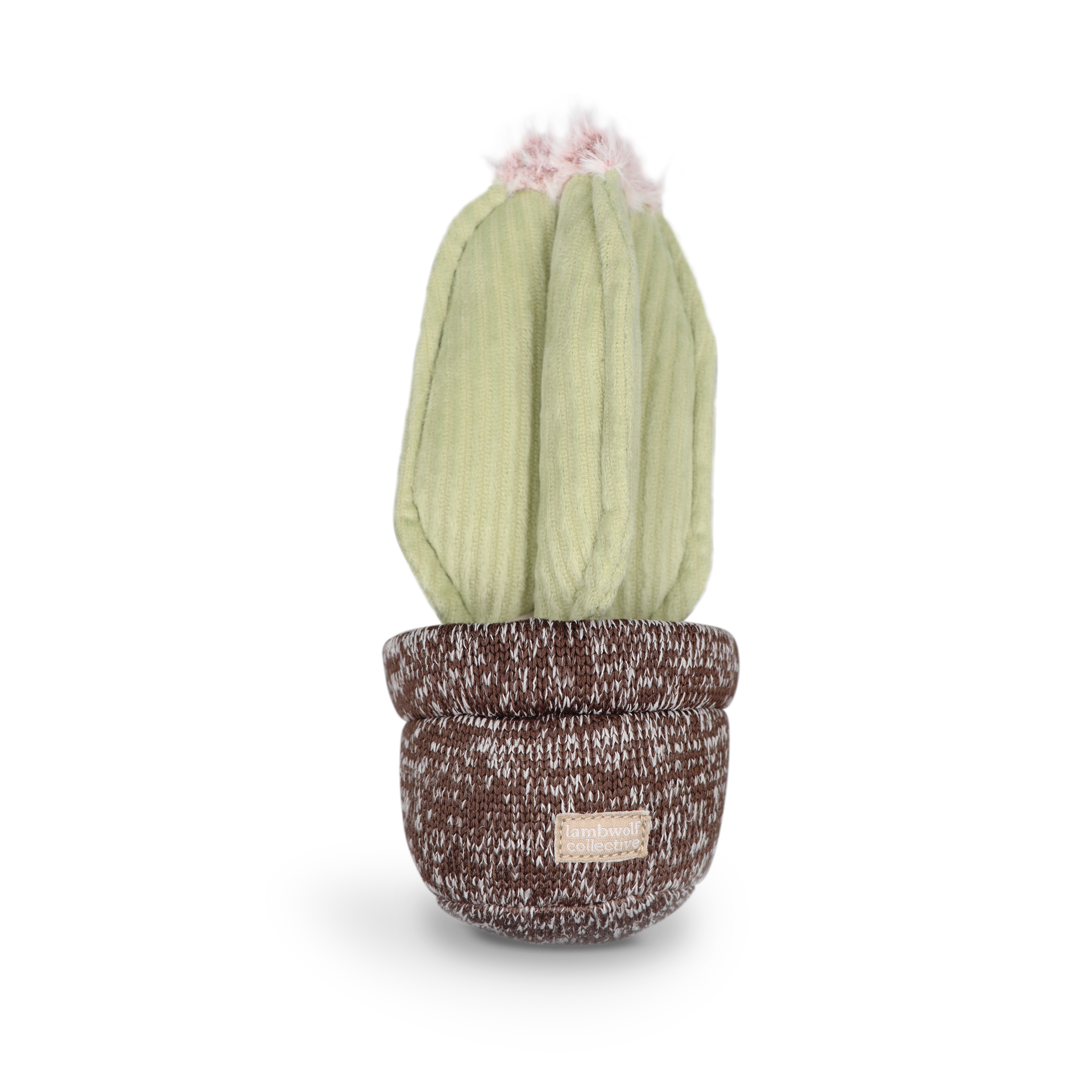 Cactus Interactive Enrichment Dog Toy Squeaker Dog Toy