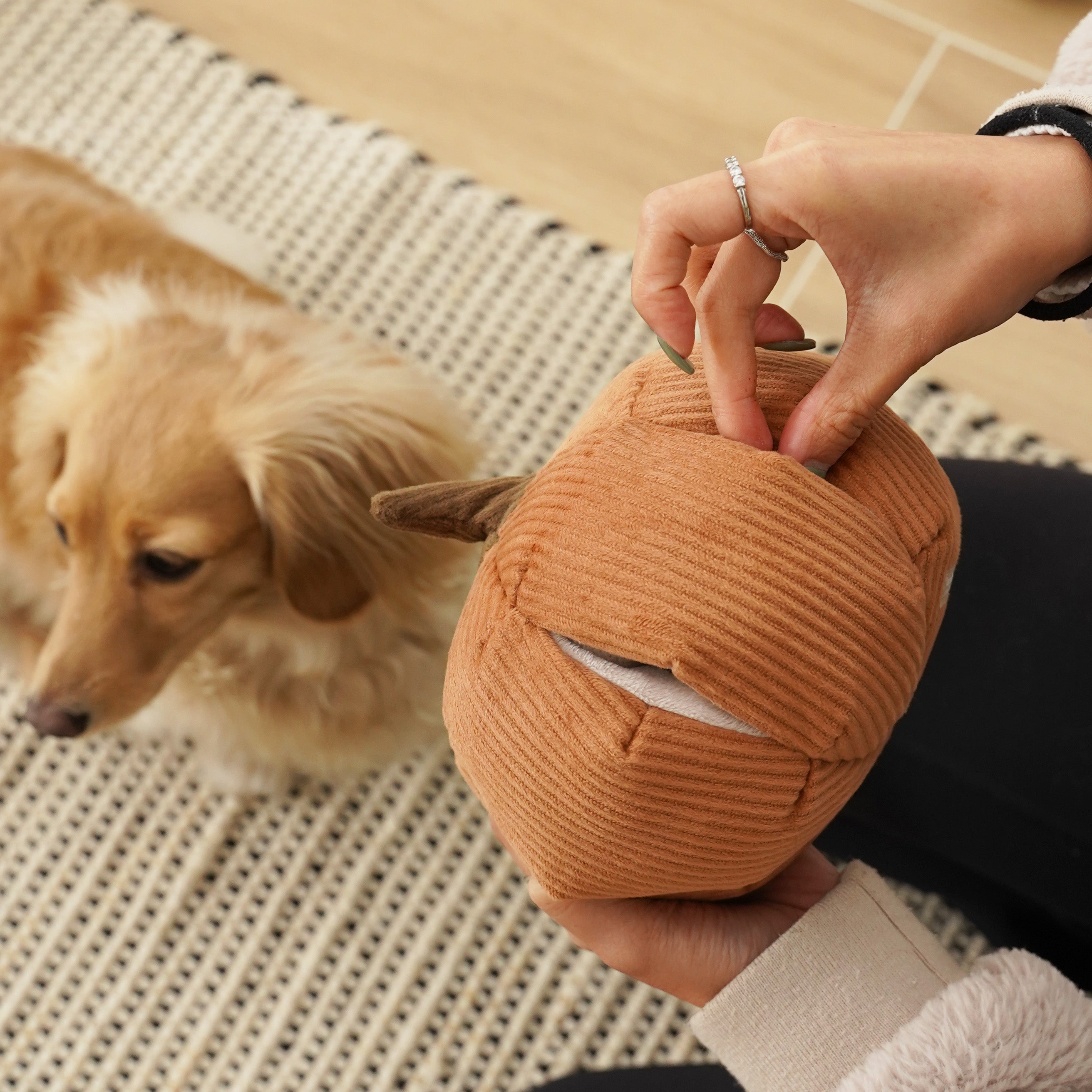 Woman reveals hidden compartment in corduroy pumpkin-shaped dog toy, with a curious dog in the background.
