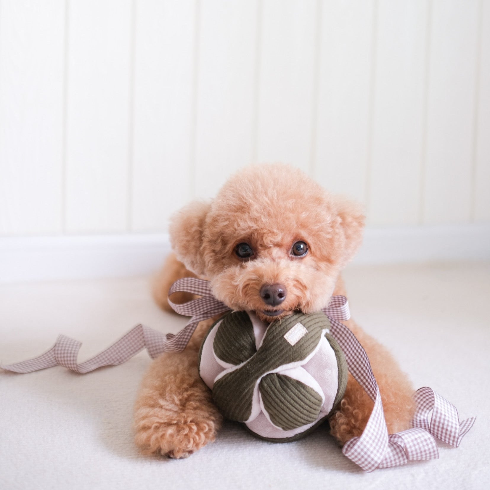 MONTI - Lambwolf Collective