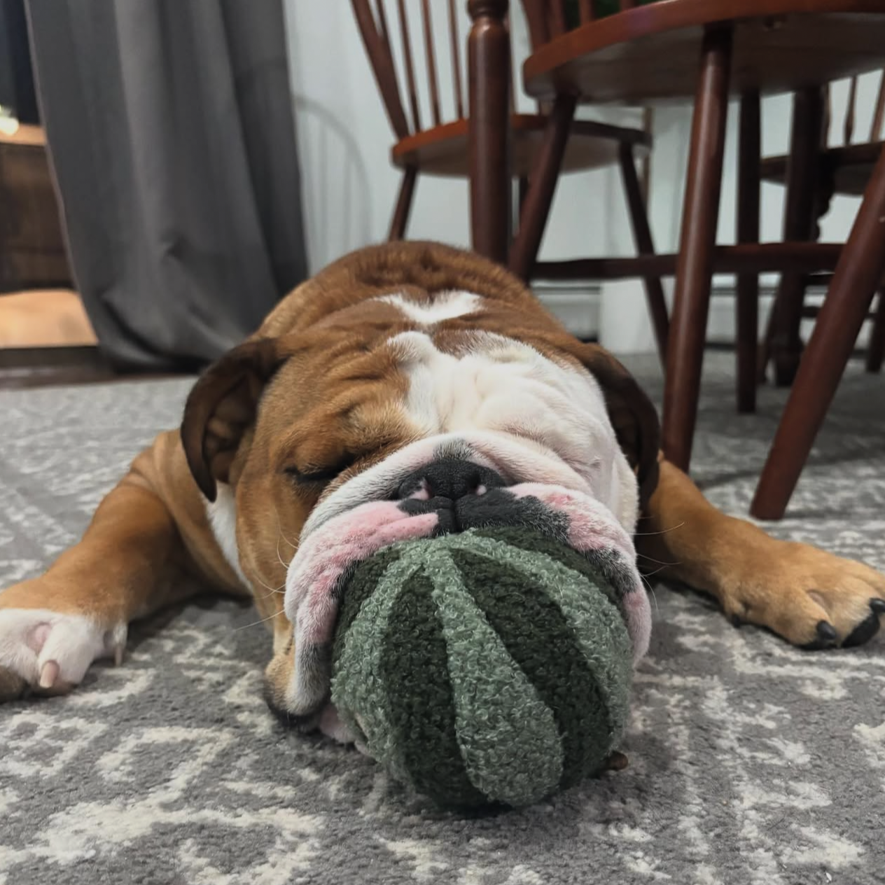 WATERMELON POP - Lambwolf Collective