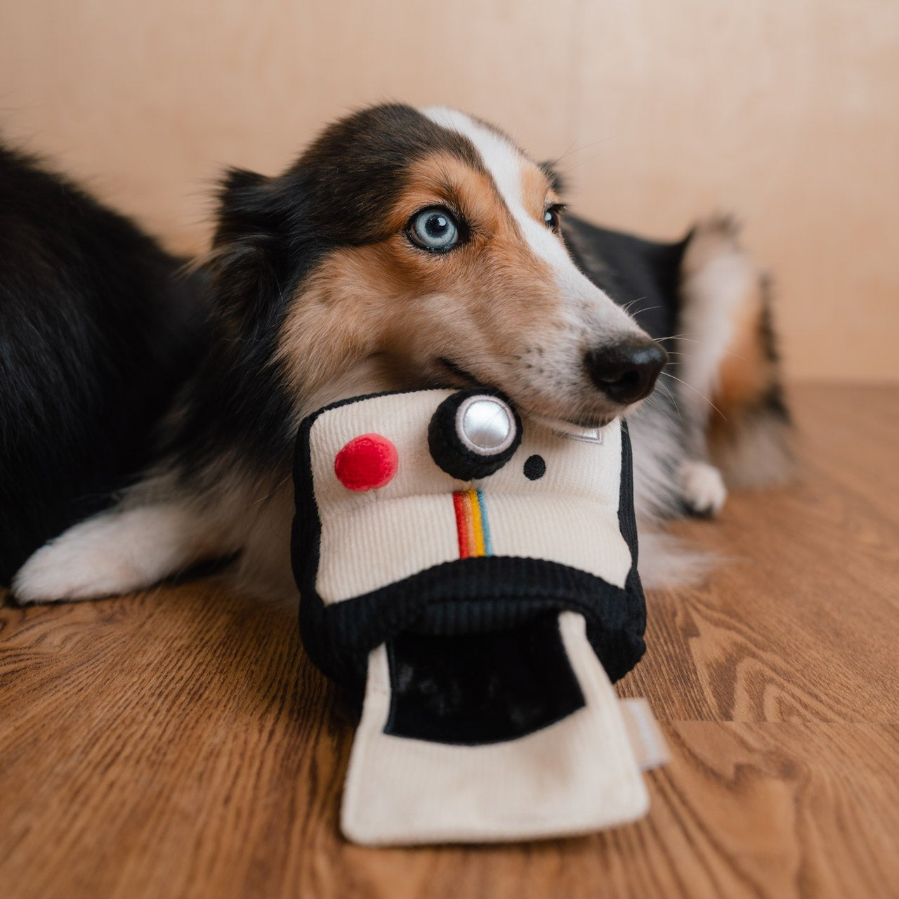 INSTANT CAMERA
