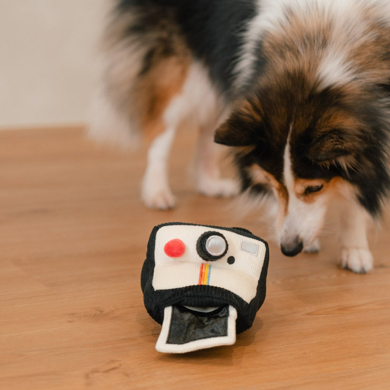 INSTANT CAMERA