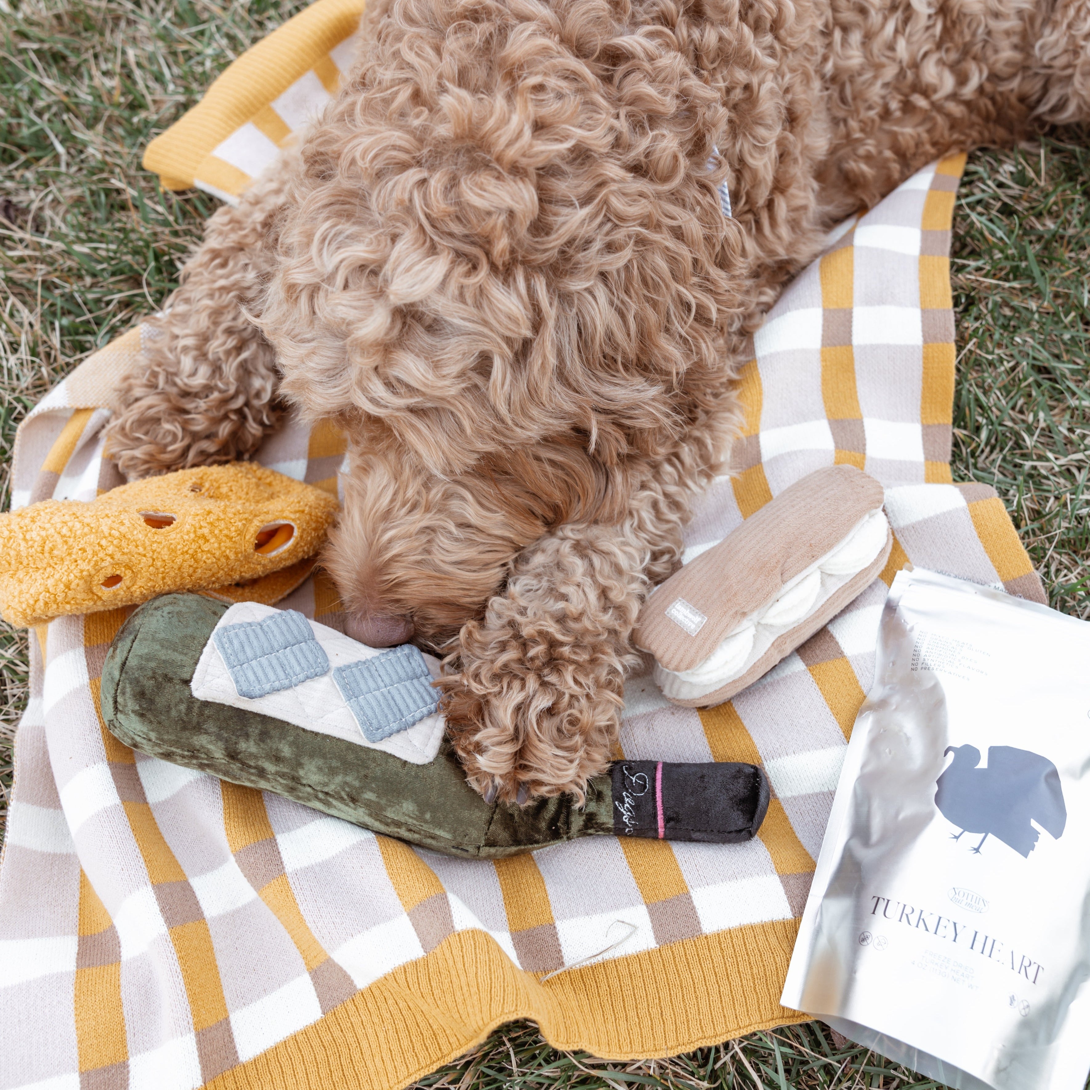 NAPPE DE PIQUE-NIQUE