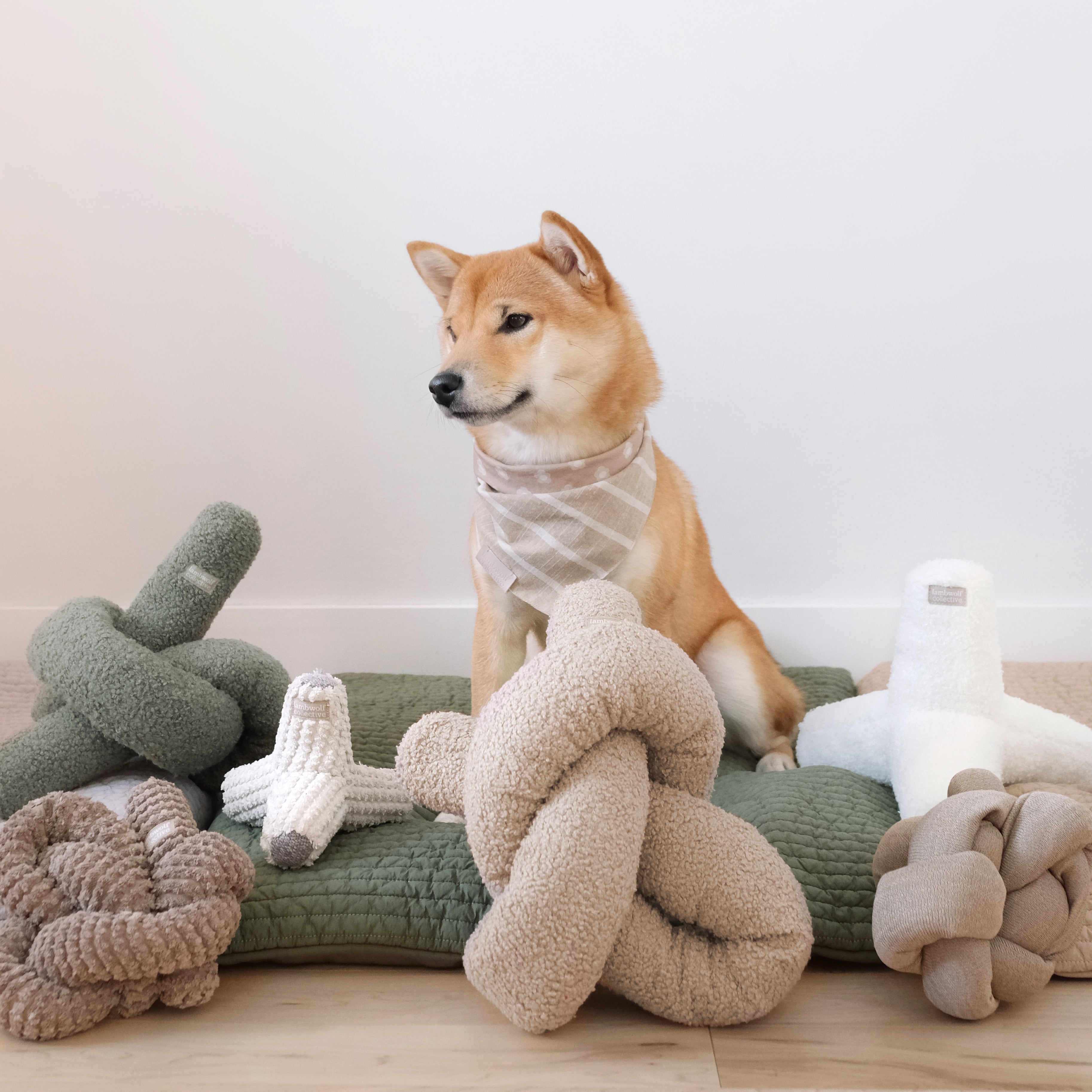 Shiba Inu dog sits on a green quilted dog bed surrounded by plush knot-shaped dog toys in beige, green, and white.