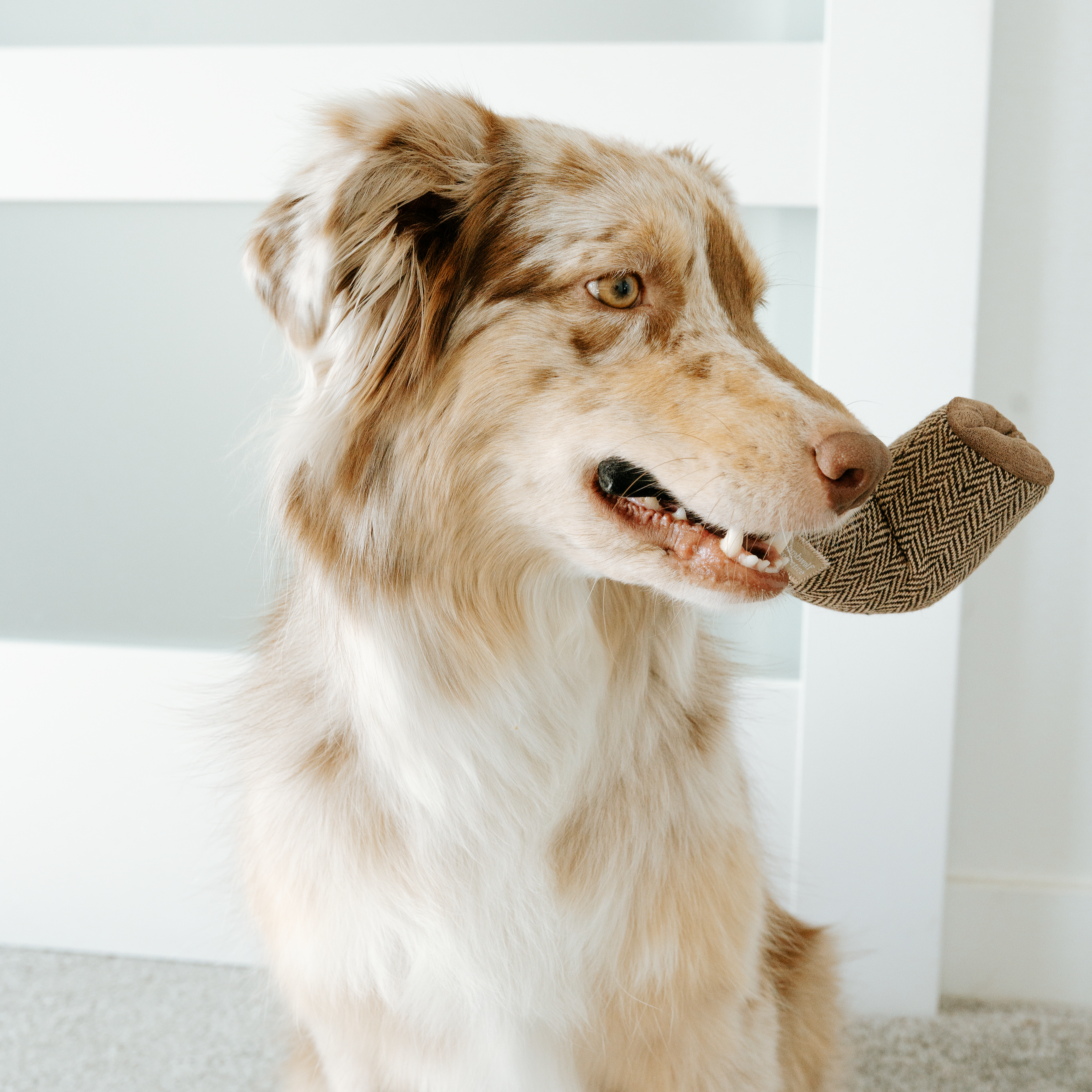 Surrealist Snuffles - Lambwolf Collective