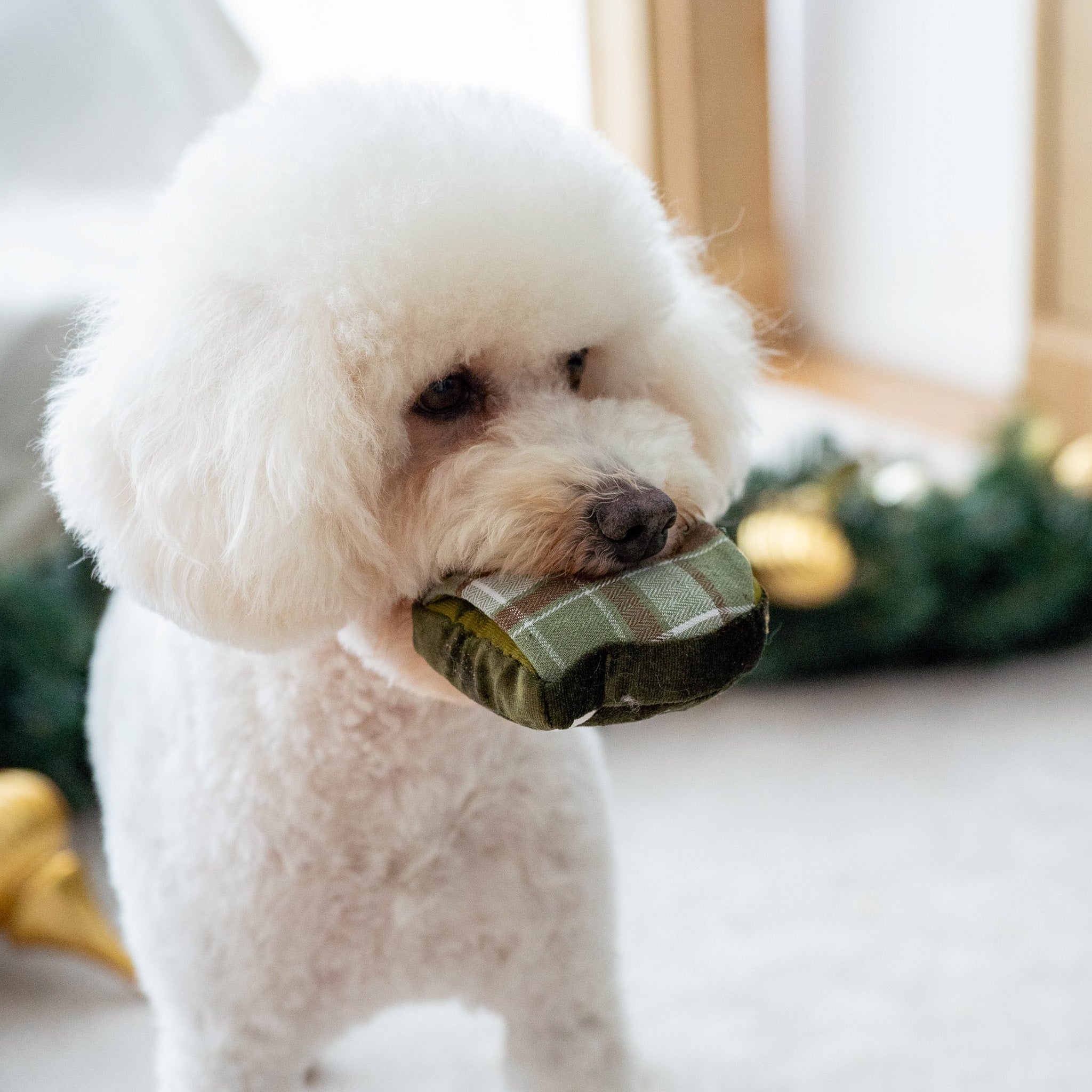 WINTER SNUFFLE COOKIES