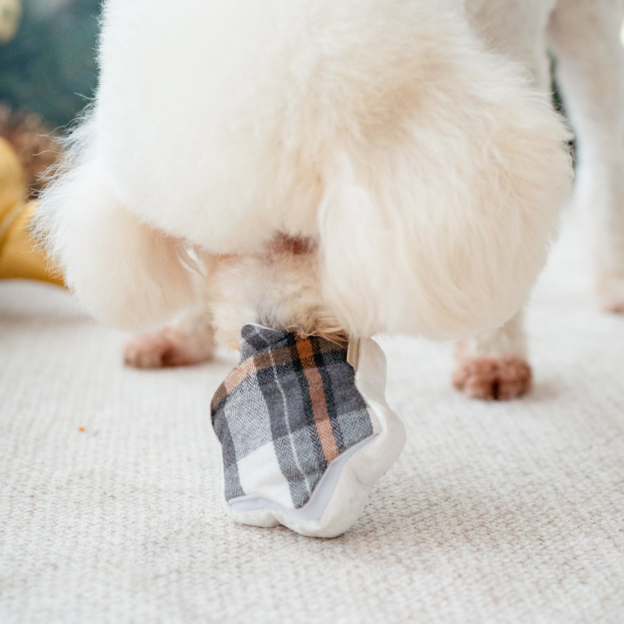 WINTER SNUFFLE COOKIES