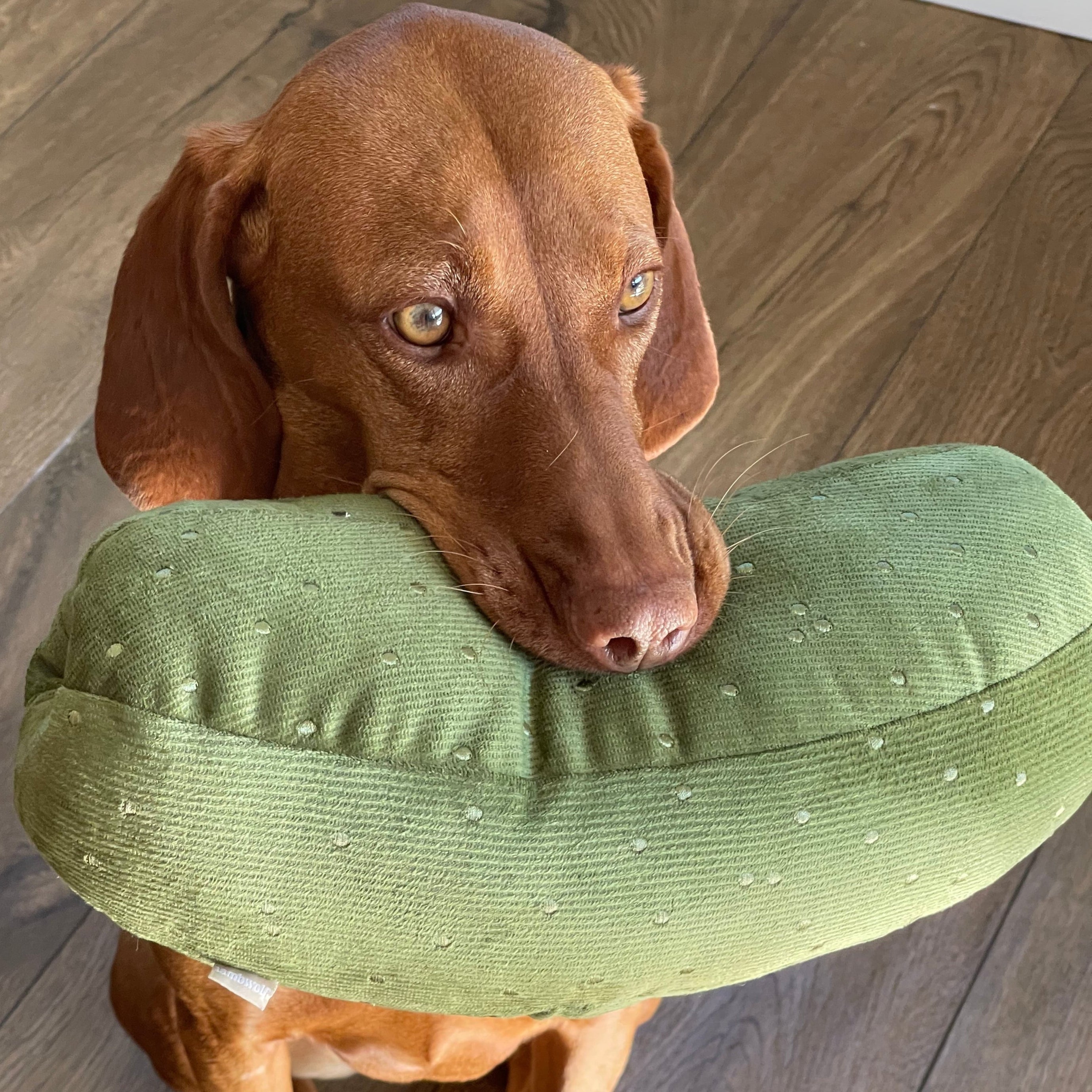GIANT PICKLE