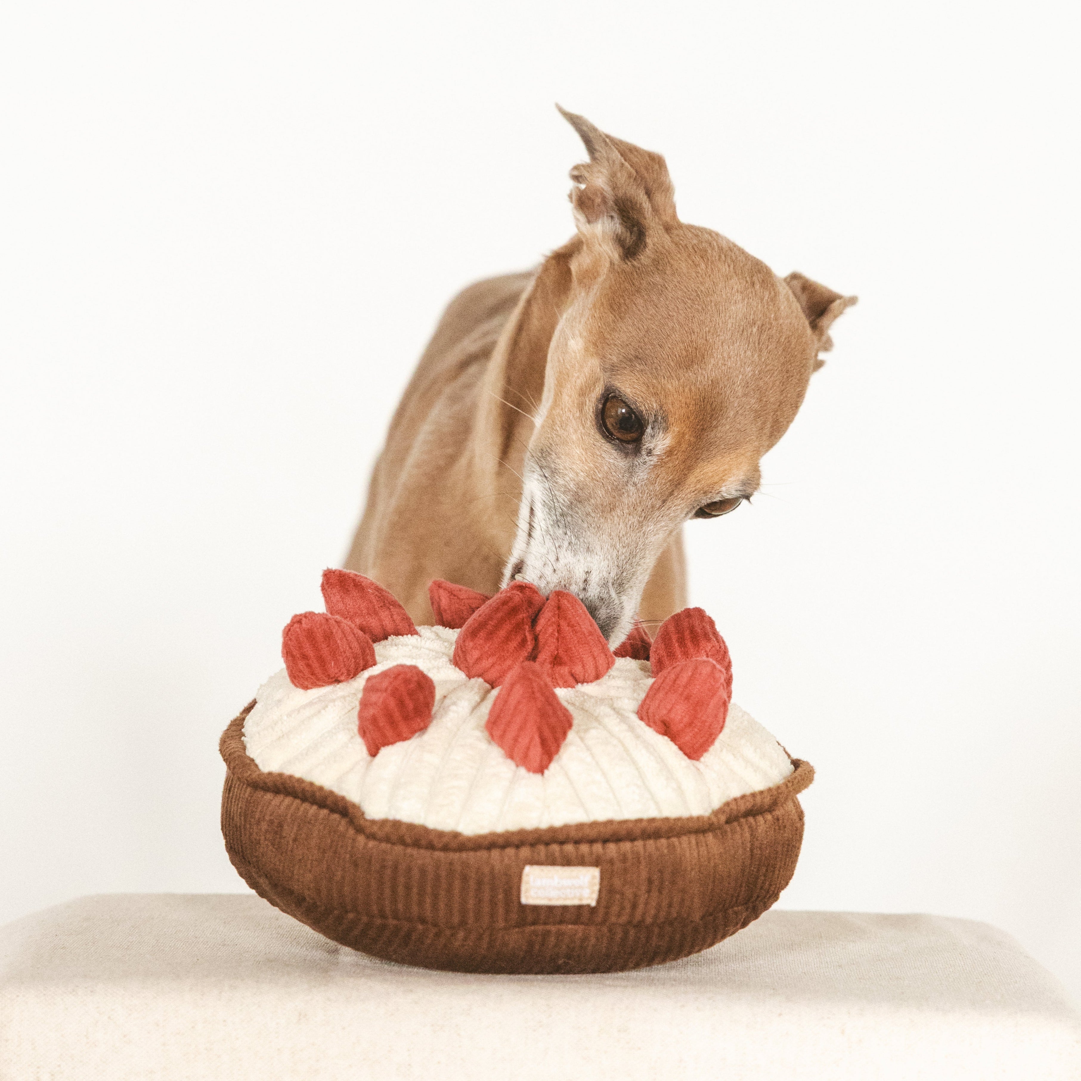 BERRY PIE