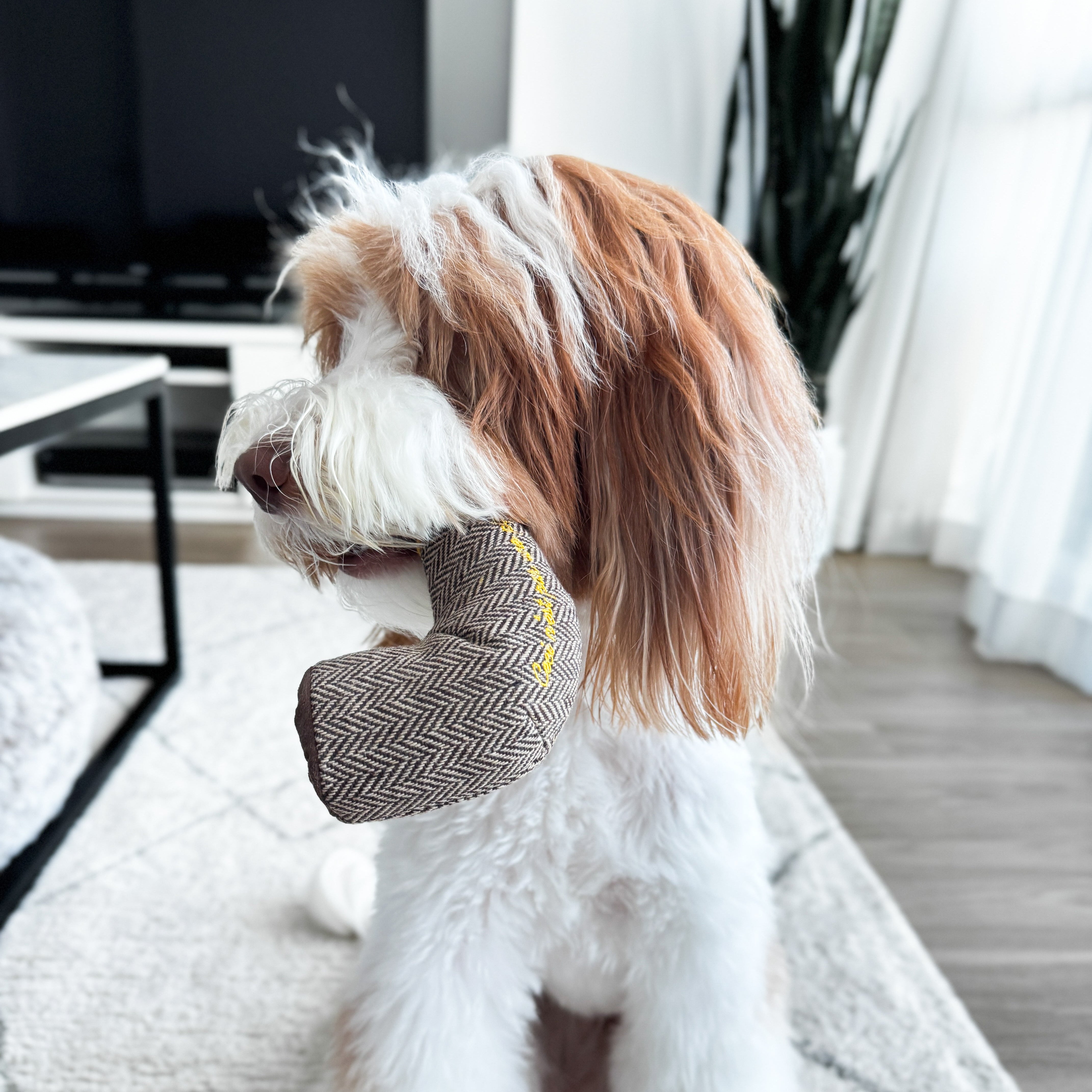 Surrealist Snuffles - Lambwolf Collective