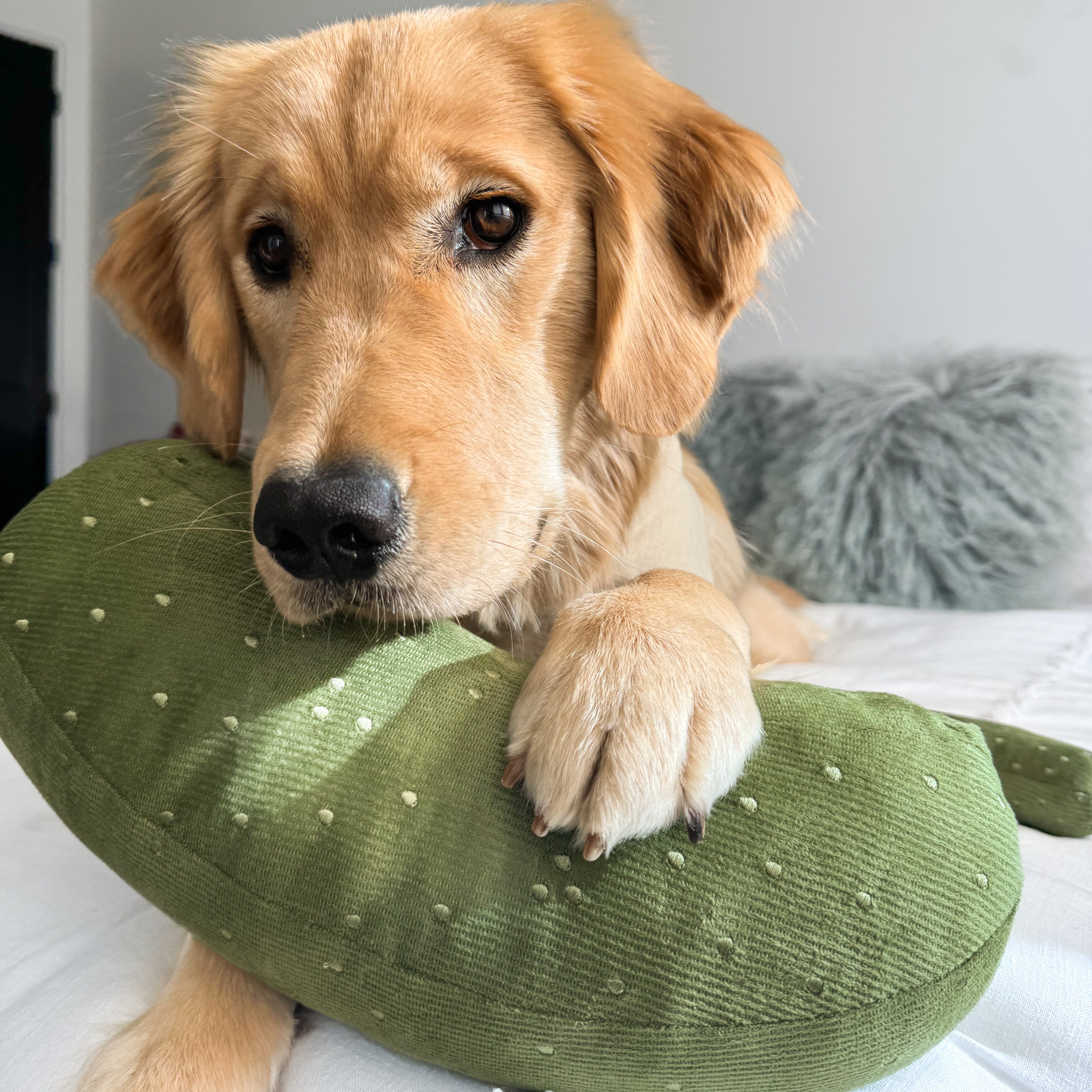 GIANT PICKLE