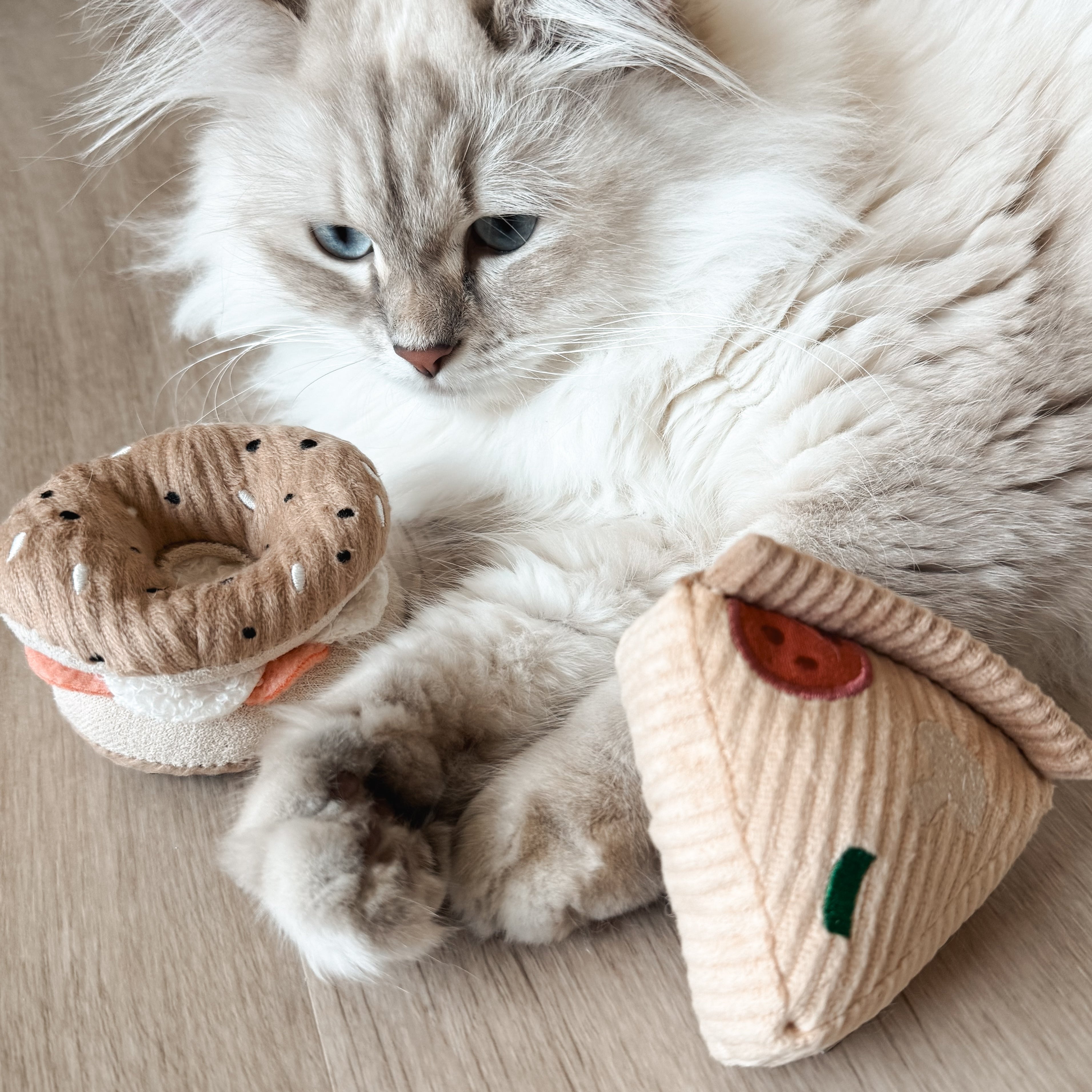 KITTY PIZZA & BAGEL SET