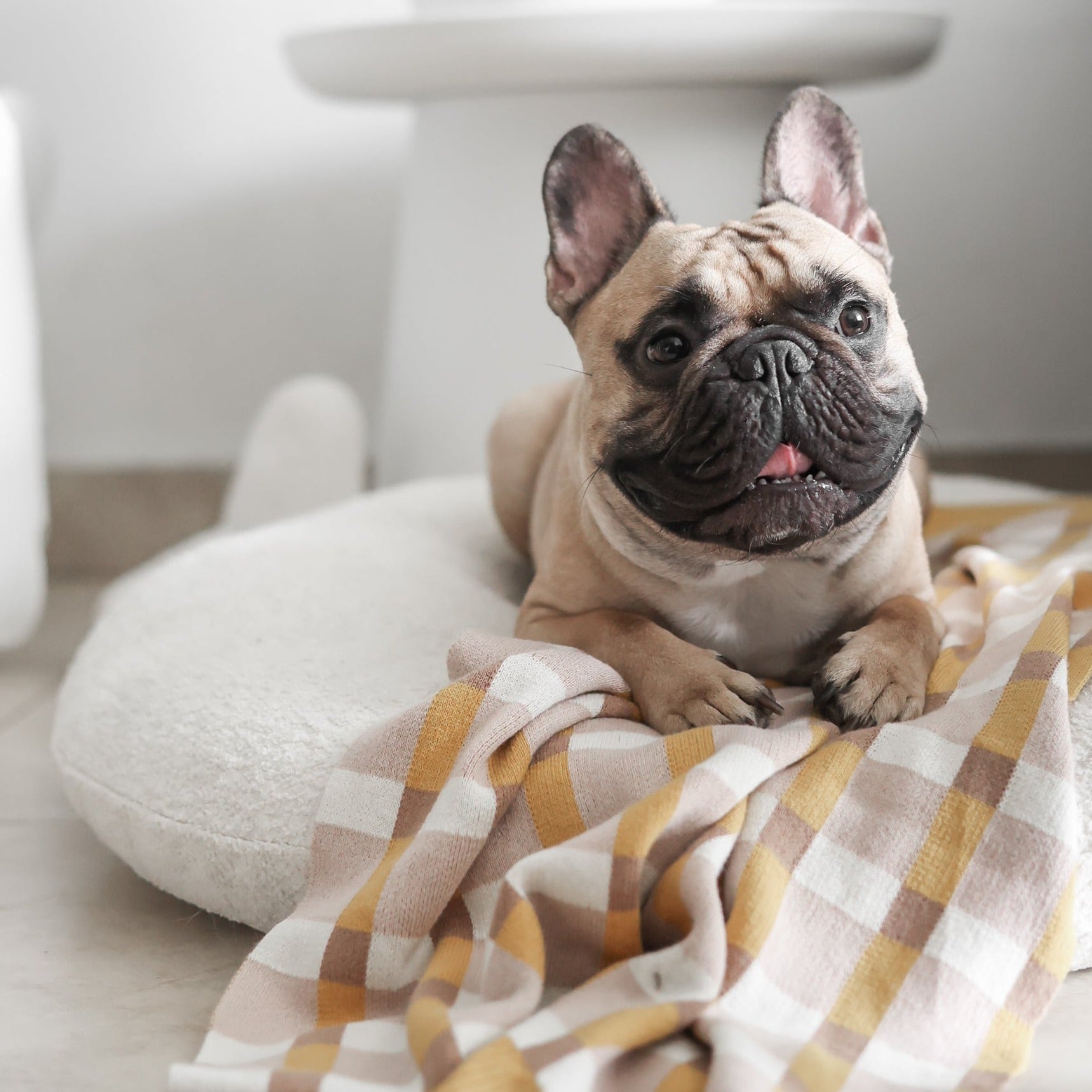 NAPPE DE PIQUE-NIQUE