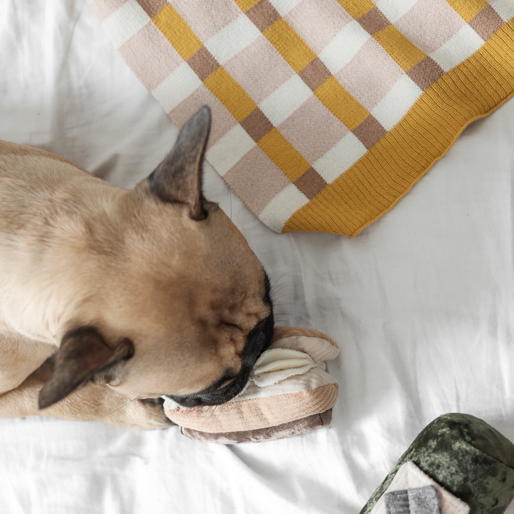 NAPPE DE PIQUE-NIQUE