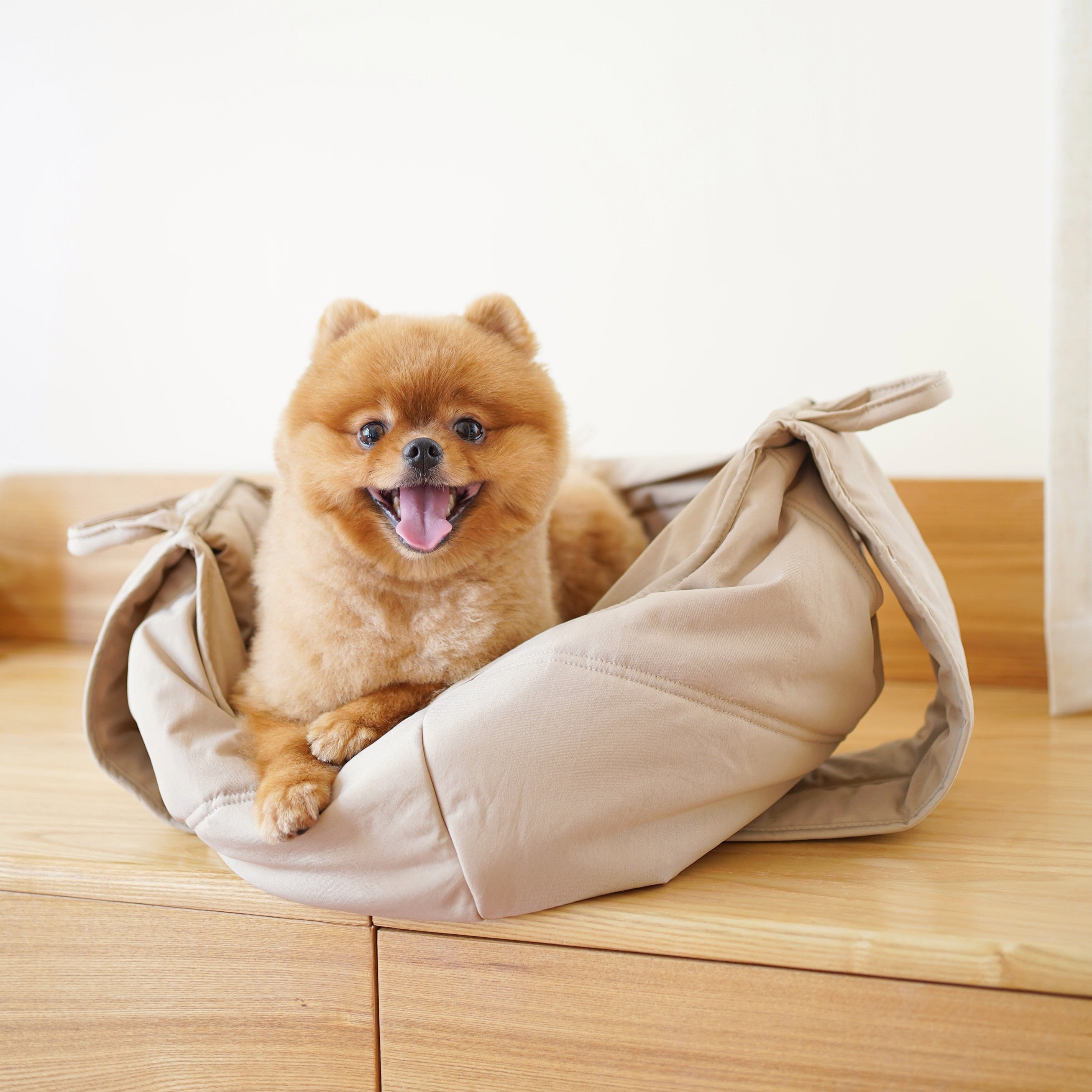 Olla Dog carrier Sling dog carrier