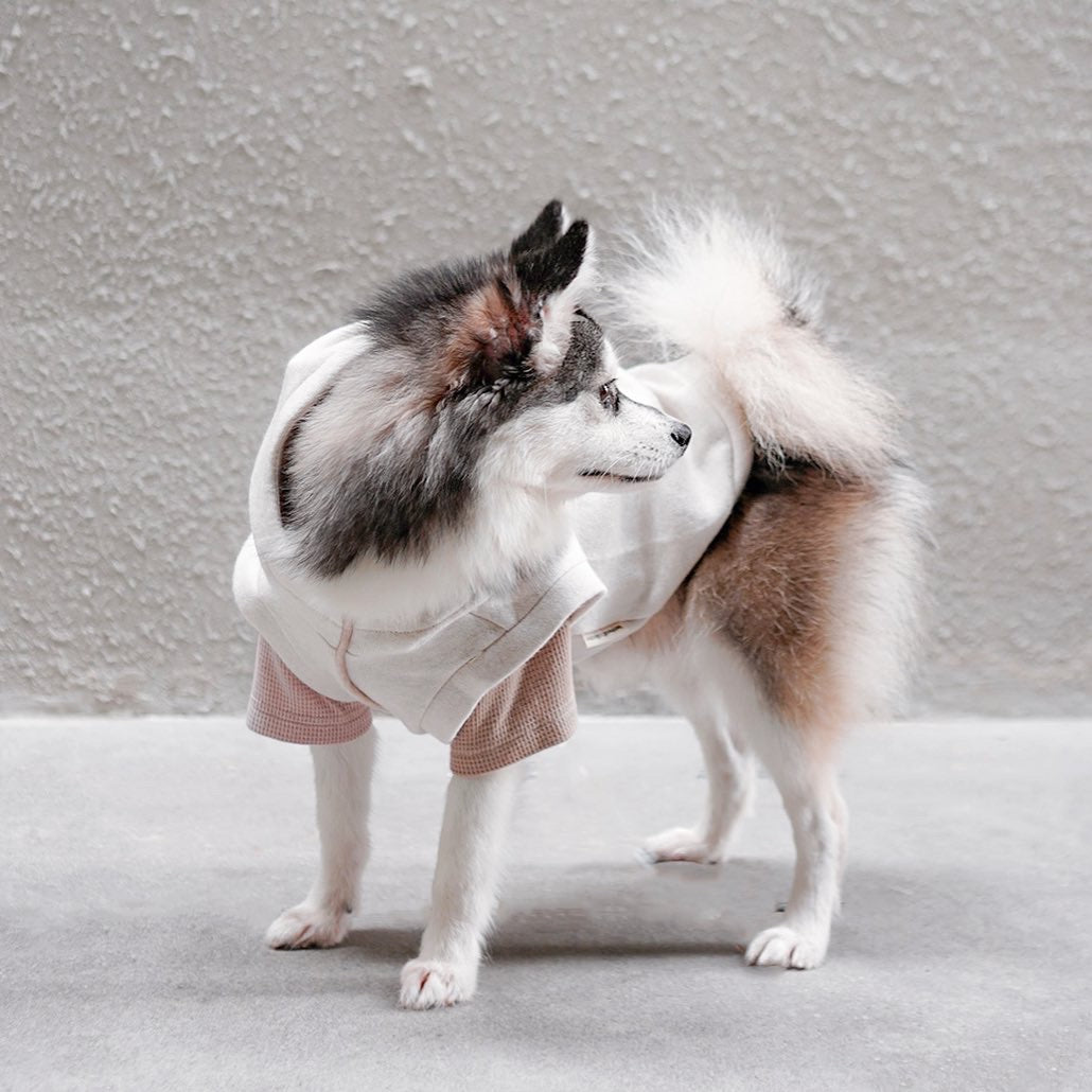 Robin dog clothes dog apparel dog hoodie dog outfit