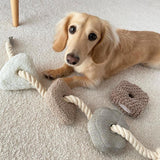 BLOC Interactive Enrichment Dog Toy Squeaker Dog Toy