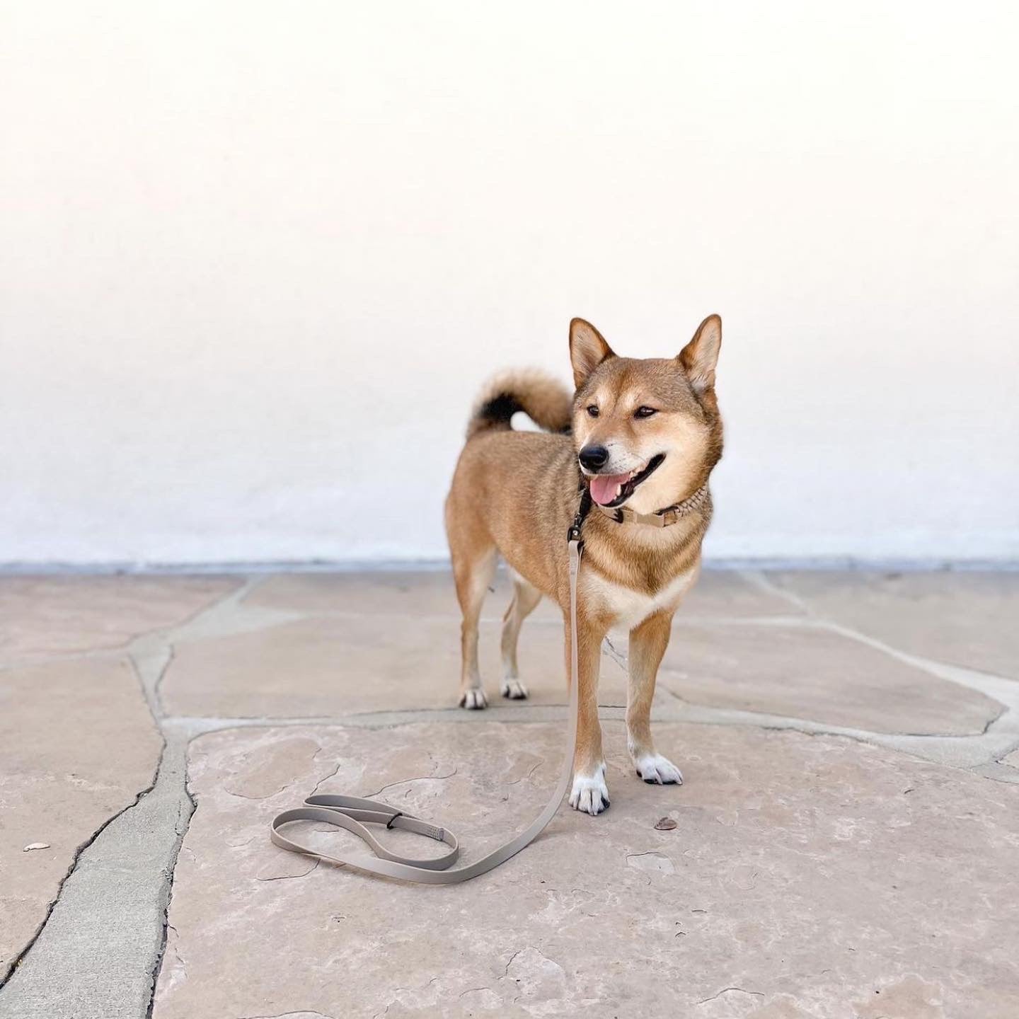 APEX is a waterproof long skinny leash designed with ultralight and minimal hardware to be as compact as possible.