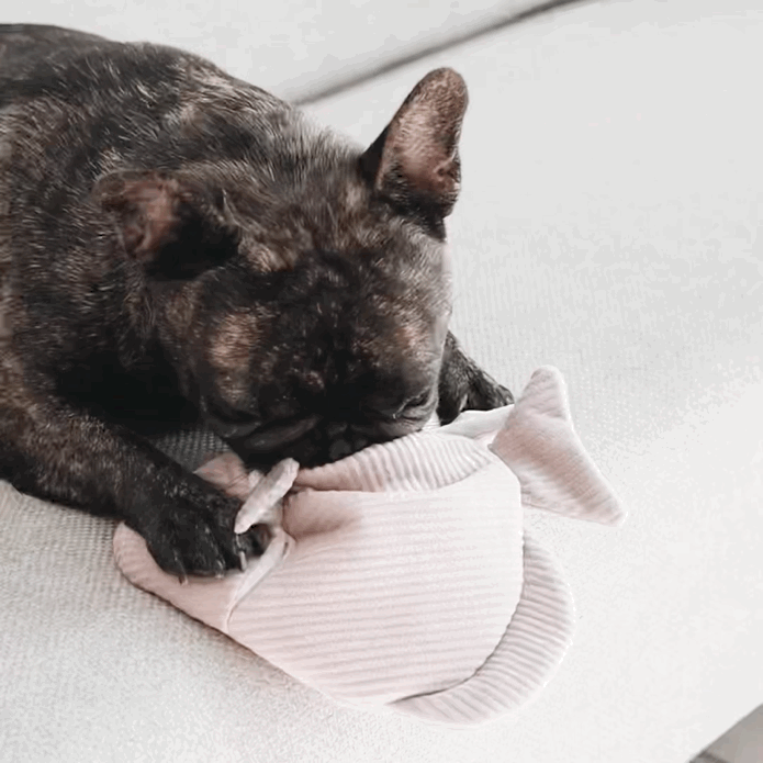 ANGEL FISH is a 2-in-1 burrow and snuffle enrichment dog toy.