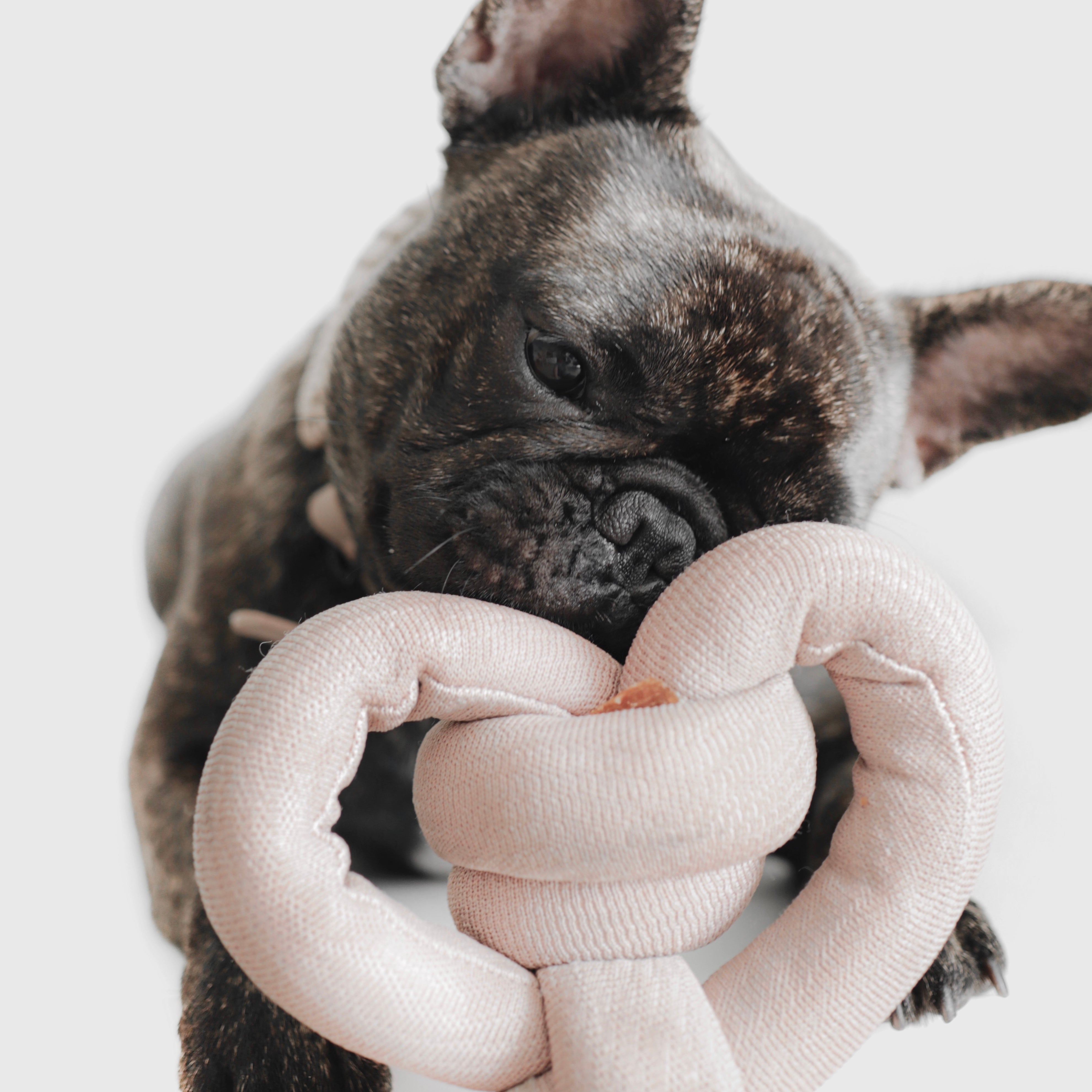 NOUNOU interactive dog toys enrichment dog toy squeaker dog toy snuffle dog toy puzzle toy