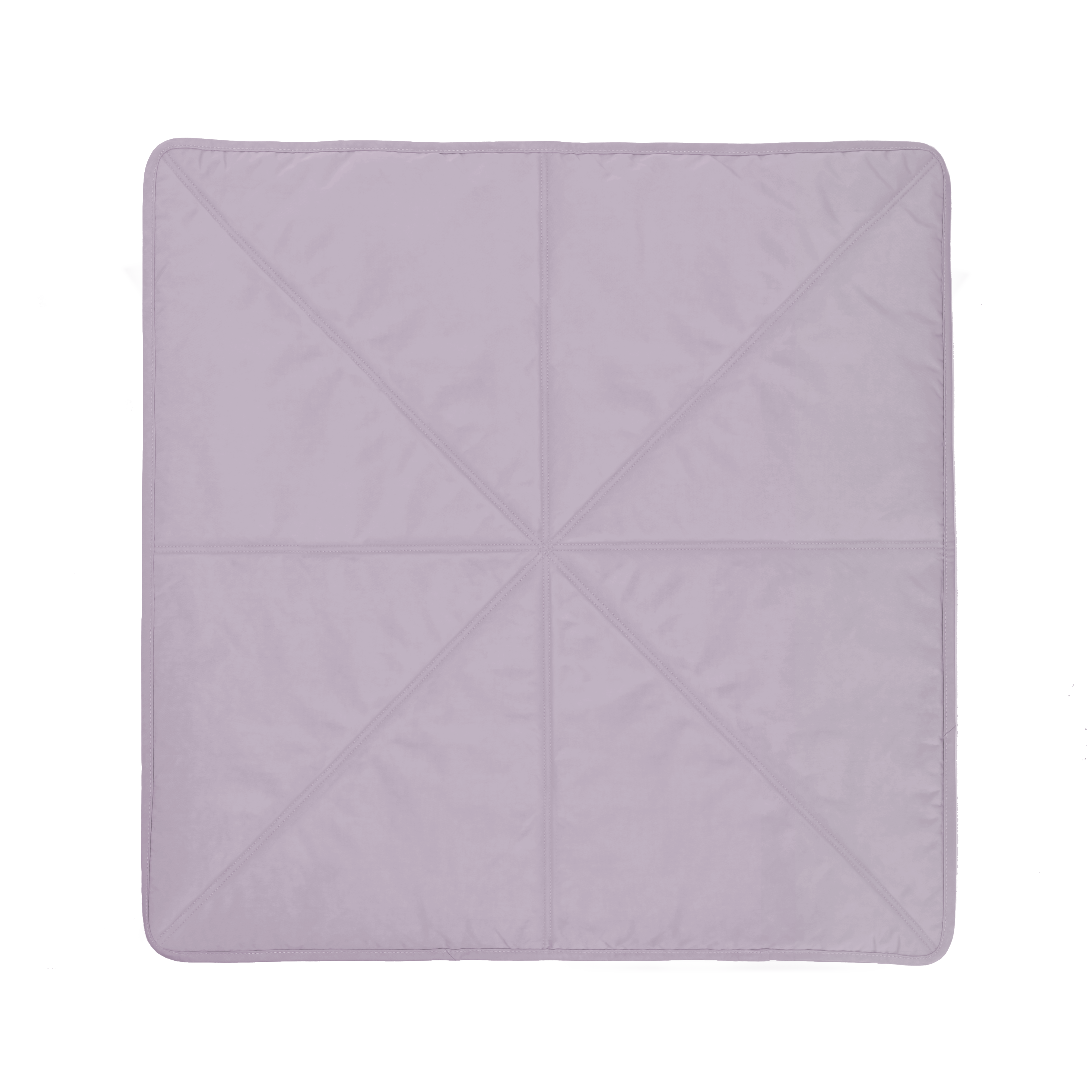 Dog Travel mat waterproof dog training mat