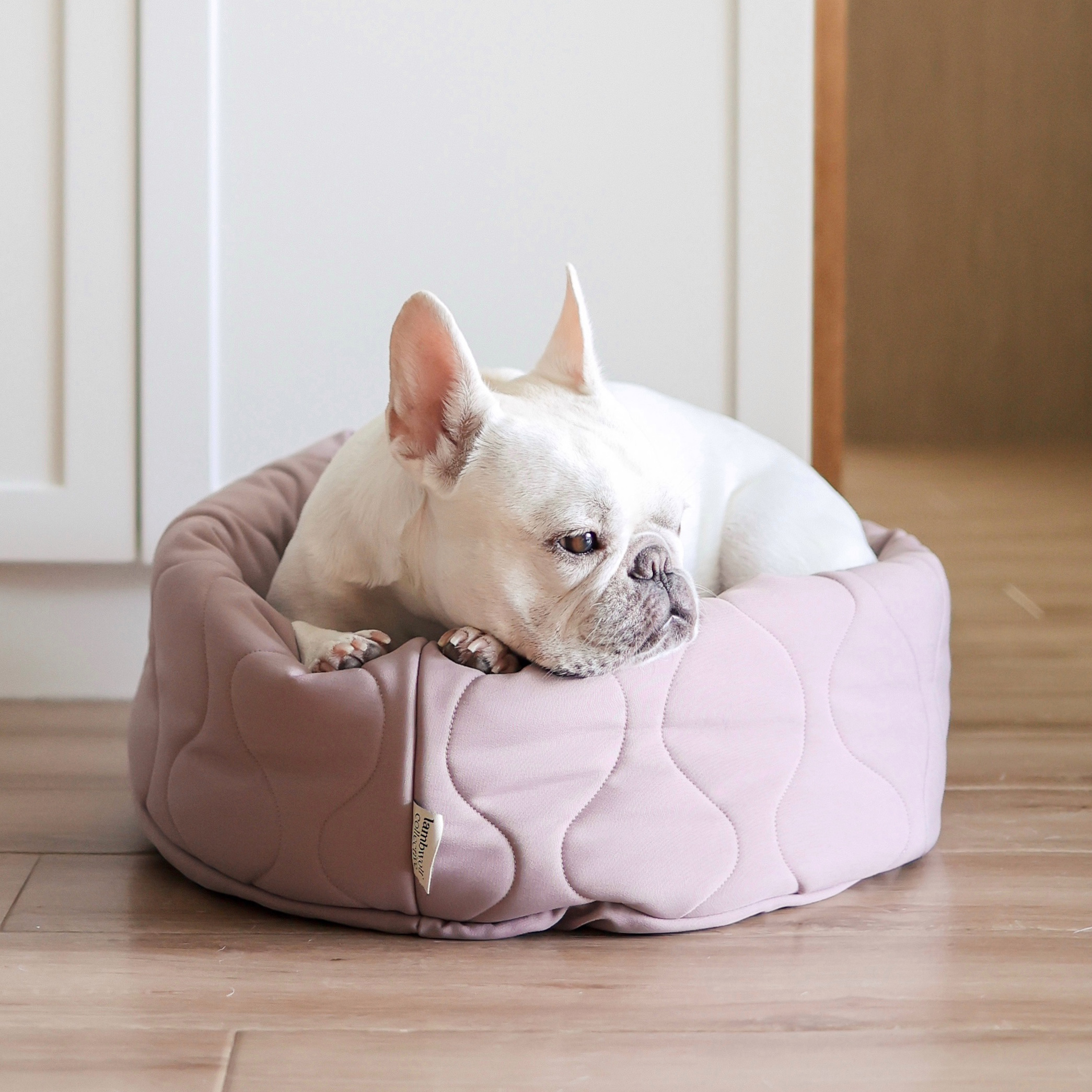TAART Dog donut bed cat bed reversible dog bed