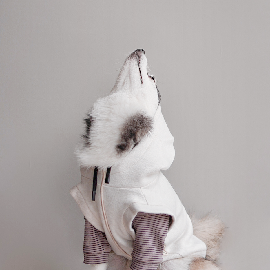 Robin dog clothes dog apparel dog hoodie dog outfit