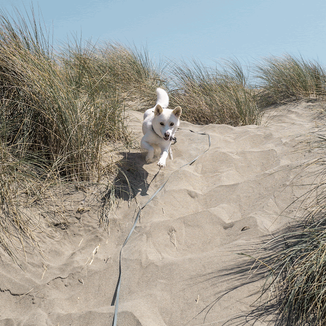 Connecting through a Long Lead