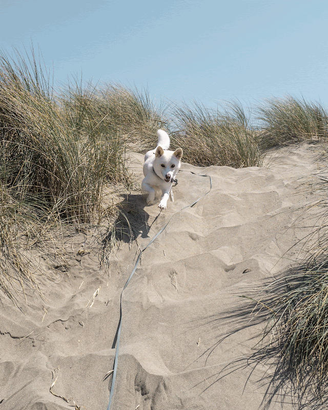Connecting through a Long Lead
