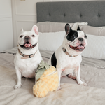 PINEAPPLE POP - Lambwolf Collective