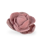 Cabbage POP - Lambwolf Collective