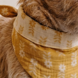 Sawyer Dog Bandana