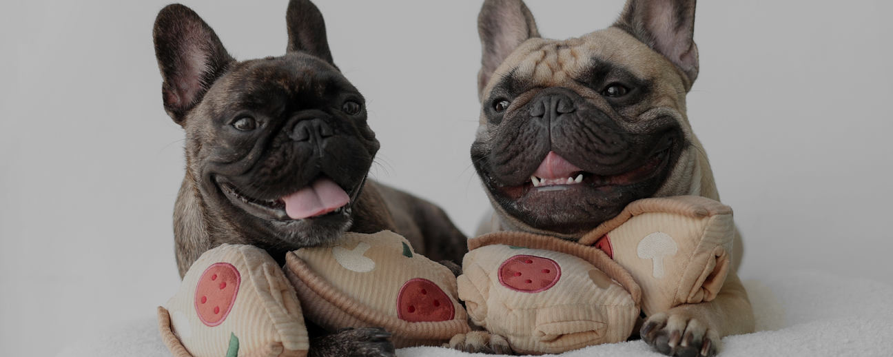 【新品未使用品】LGB BEWARE OF THE DOG タンク　初期 Buy Large Squeaky Frog Dog Toys. 100% Natural Rubber (Latex