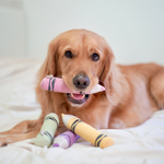 CRAYON - Lambwolf Collective