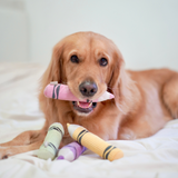 CRAYON - Lambwolf Collective