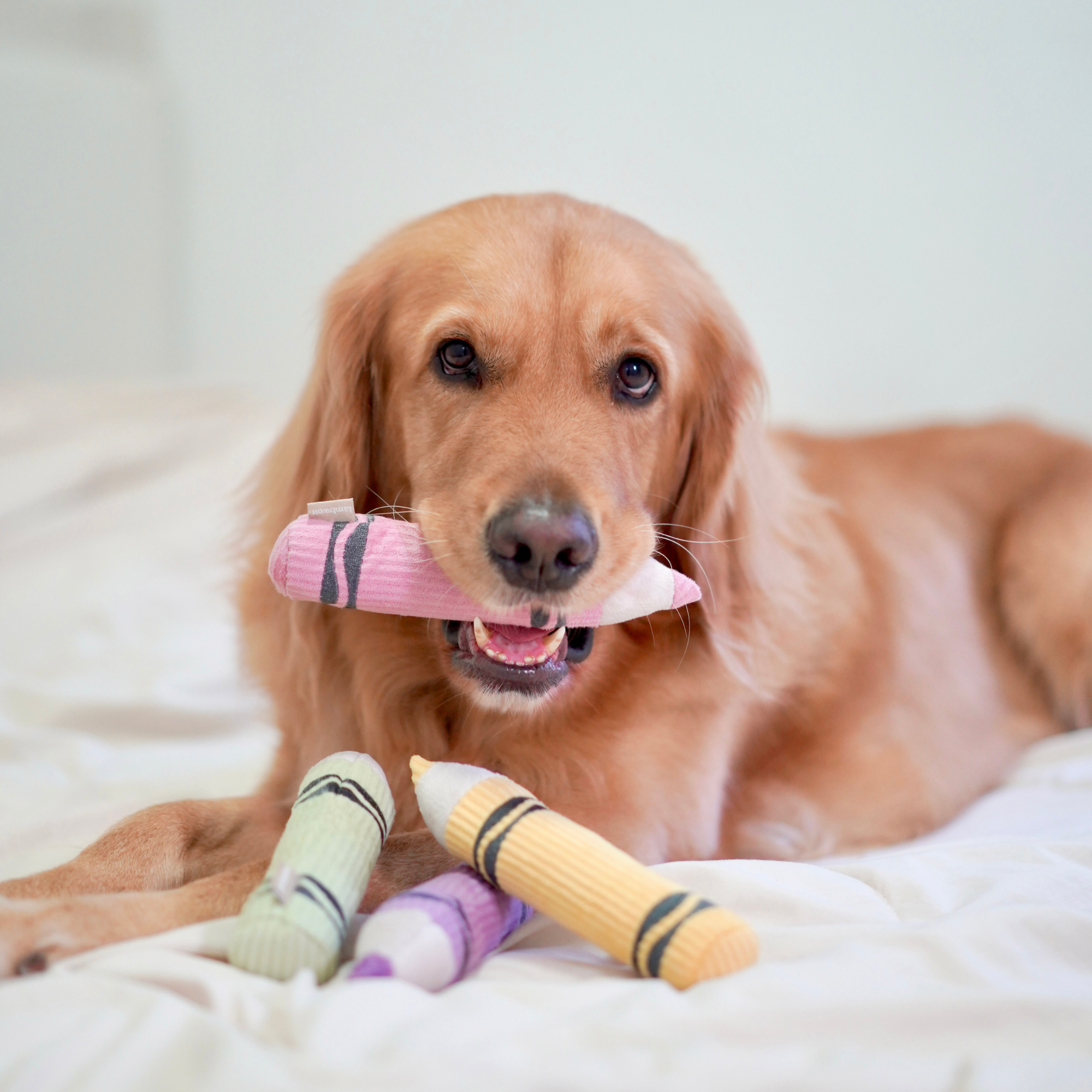 CRAYON - Lambwolf Collective