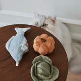 KITTY TROUT