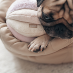 TOTO - Lambwolf Collective