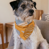Pumpkin Spice Dog Bandana