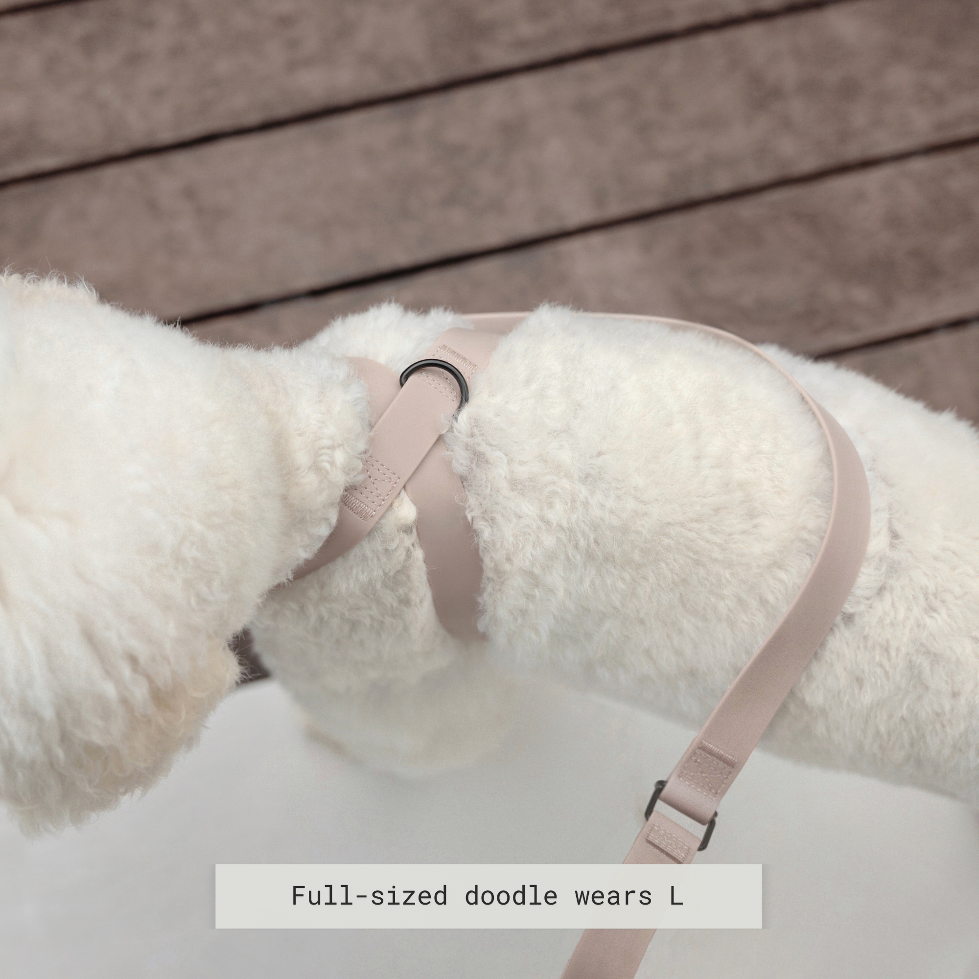 White doodle dog models a size large beige dog harness. 
