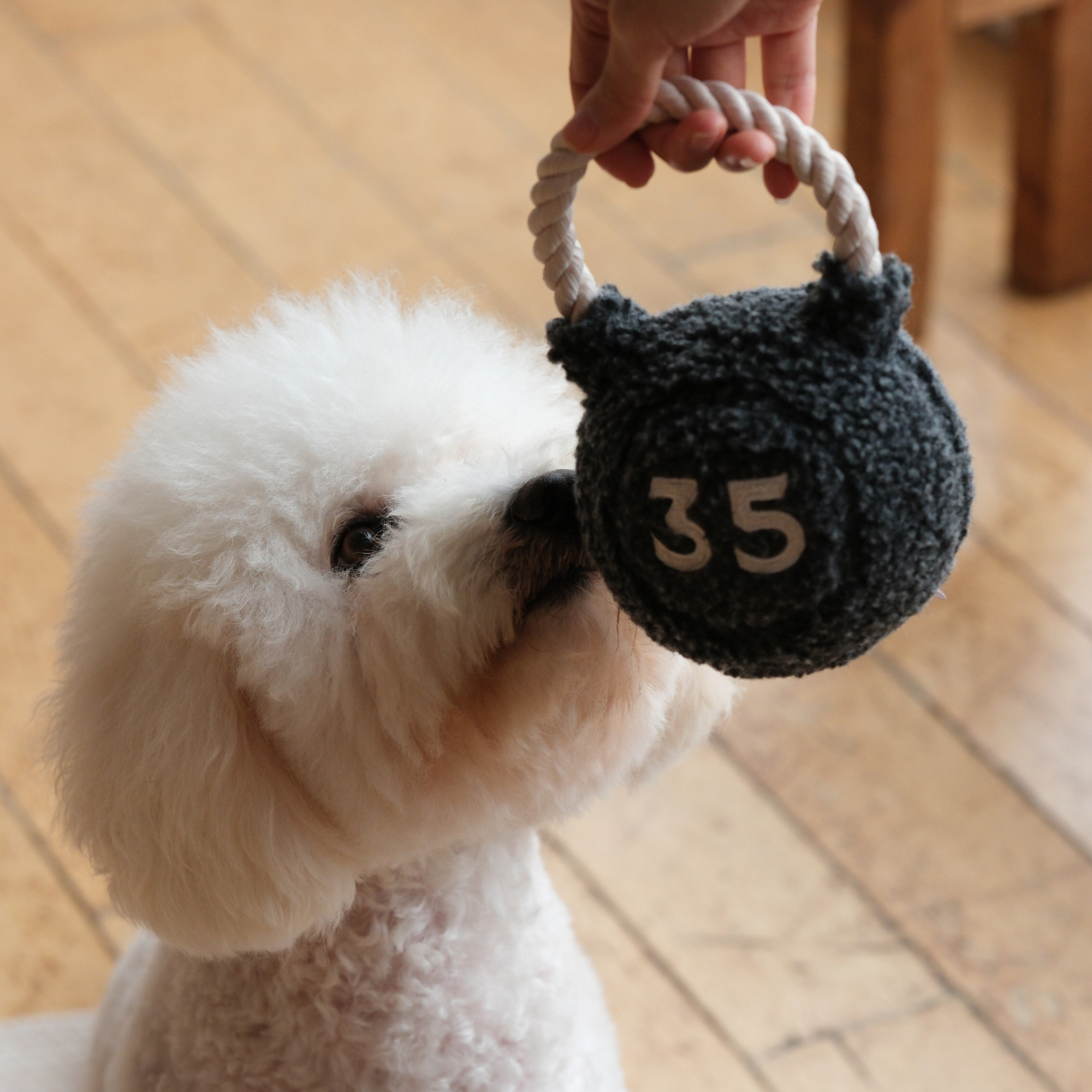 KETTLEBELL- Enrichment and Interactive Dog Toy | Puzzle Dog Toy KETTLEBELL- Enrichment and Interactive Dog Toy | Puzzle Dog Toy