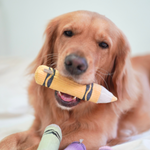 CRAYON - Lambwolf Collective