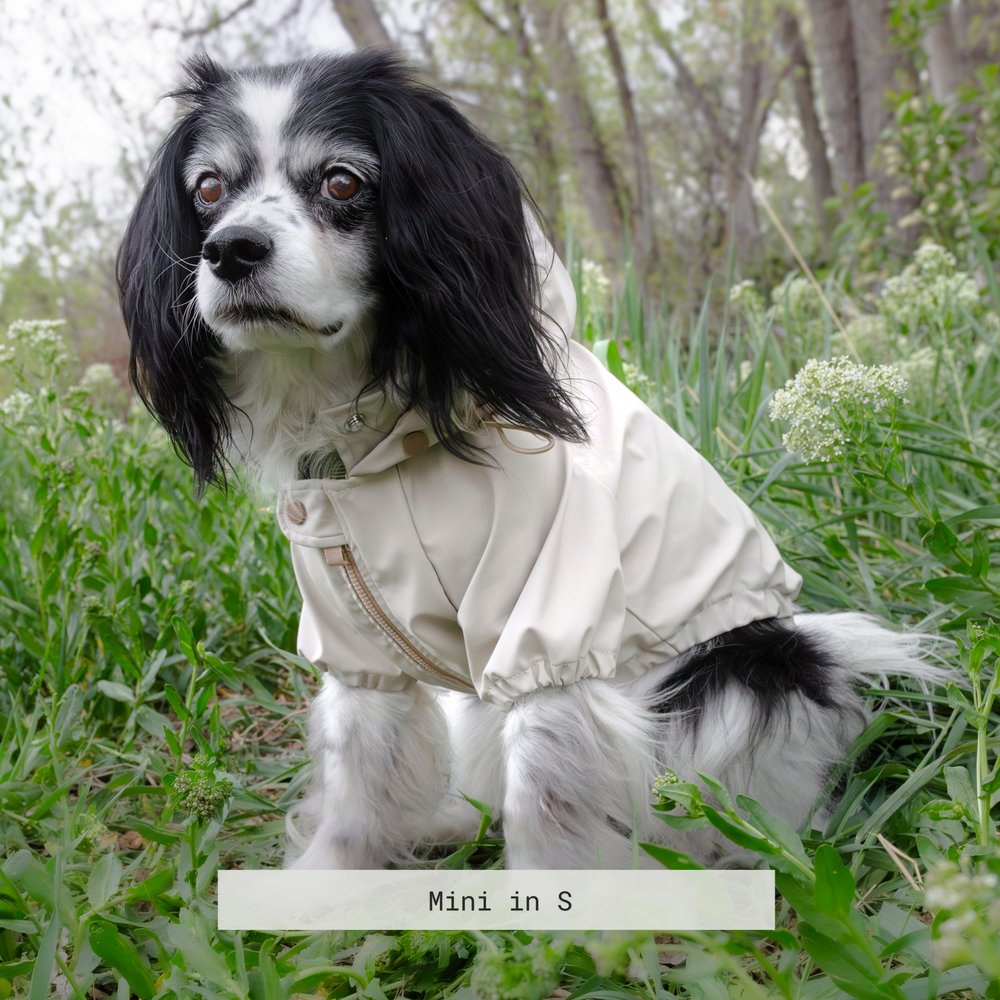 BRIGHTON - Dog Clothes | Dog Apparel | Dog Raincoat
