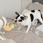 PINEAPPLE POP - Lambwolf Collective