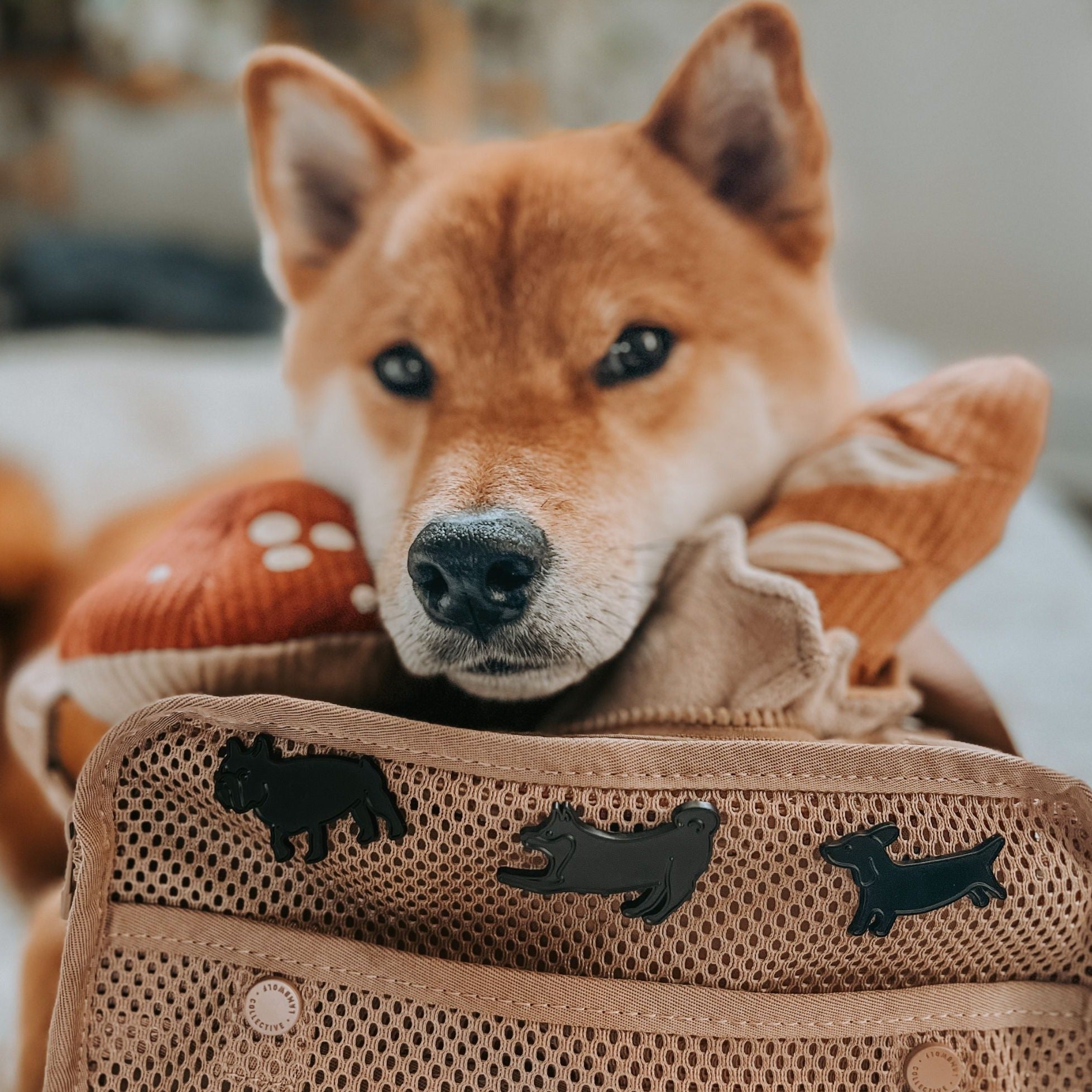 SHIBE ENAMEL PIN - Lambwolf Collective