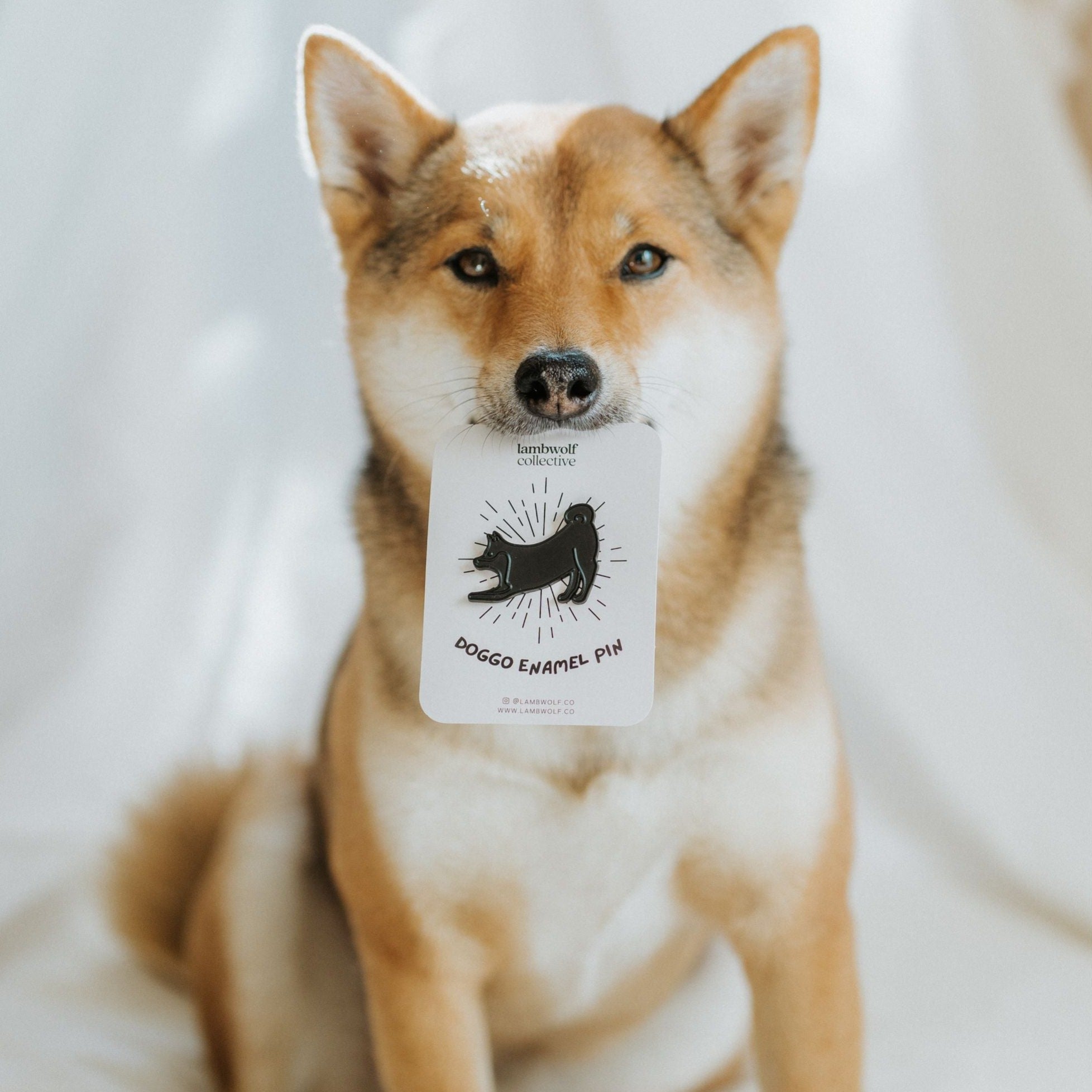SHIBE ENAMEL PIN - Lambwolf Collective