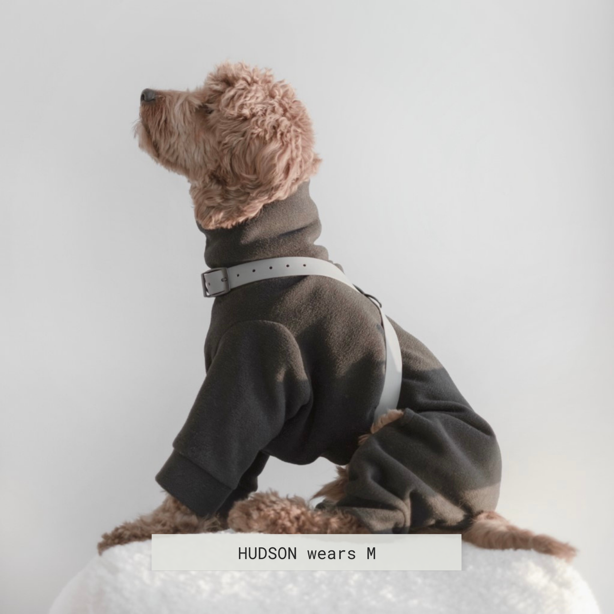 Brown doodle dog models a dark gray fleece dog jumpsuit with a gray harness.