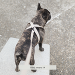 OTTO - Lambwolf Collective